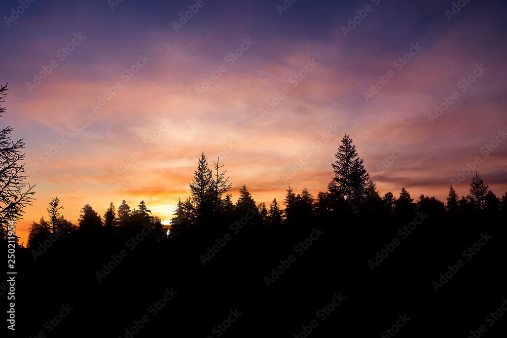 Sundown Landscape Forest