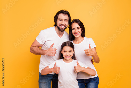 Portrait of nice beautiful winsome cool attractive cheerful people mom dad showing thumbup advert recommend isolated over shine vivid pastel yellow background photo