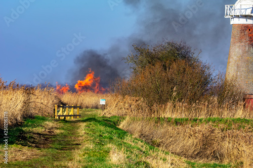 Norfolk reed stubble and scrub burning