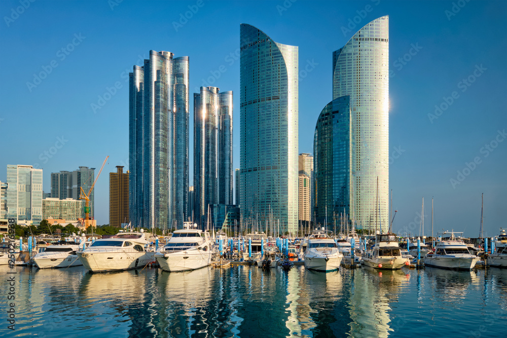 Fototapeta premium Busan marina with yachts on sunset, South Korea