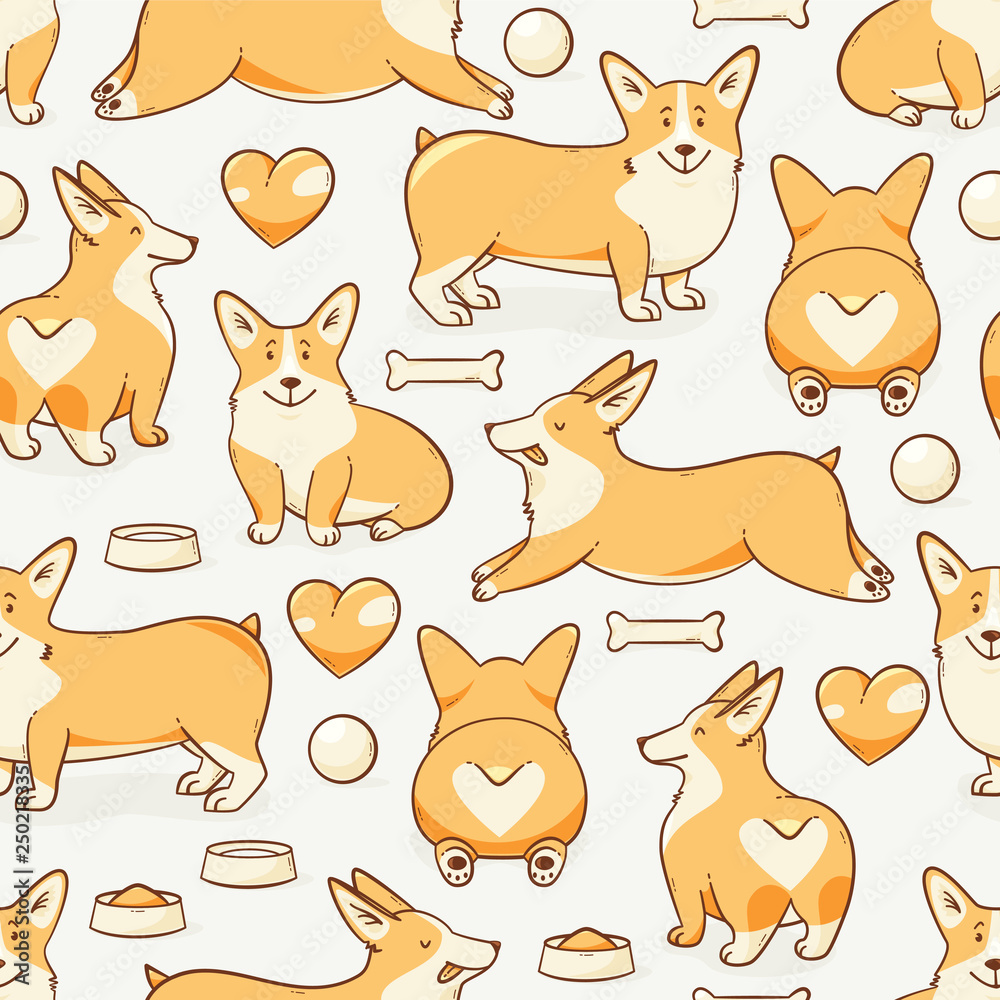 Welsh corgi dog Welsh corgi dog