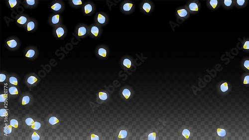 Vector Realistic Blue Petals Falling on Transparent Background.  Spring Romantic Flowers Illustration. Flying Petals. Sakura Spa Design. Blossom Confetti.