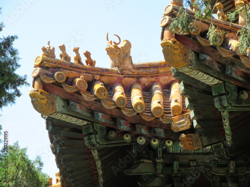 China, roof top detail