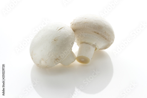 White champignon mushrooms on a white background