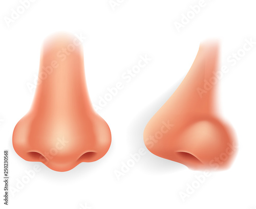 Front profile human nose realistic isolated 3d icon design vector illustration