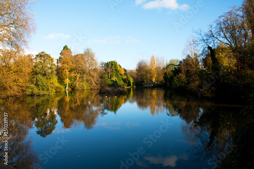 Trees reflecting in a Lake at Summer © Richard