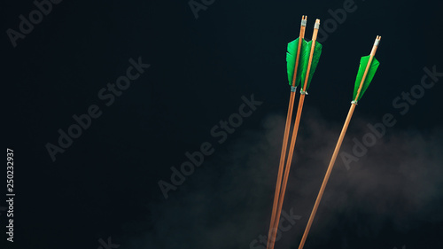 Fotografie Three wood arrow