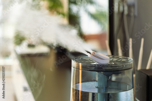 Ultrasonic cool mist humidifier photo