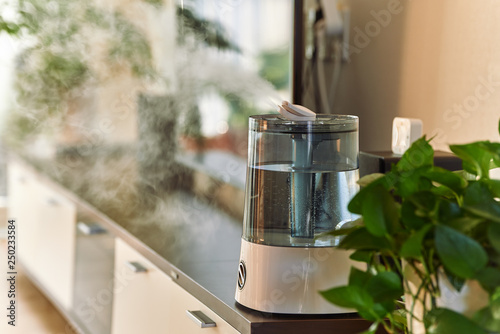 Ultrasonic cool mist humidifier photo