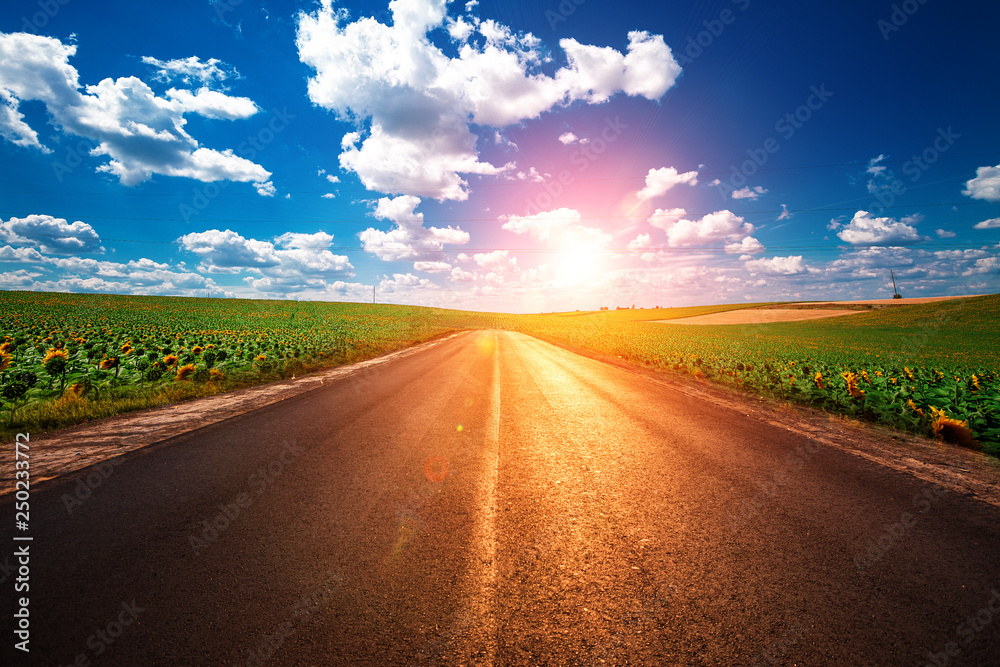 speed highway through the field. asphalt-paved road speed highway through the field. asphalt-paved road