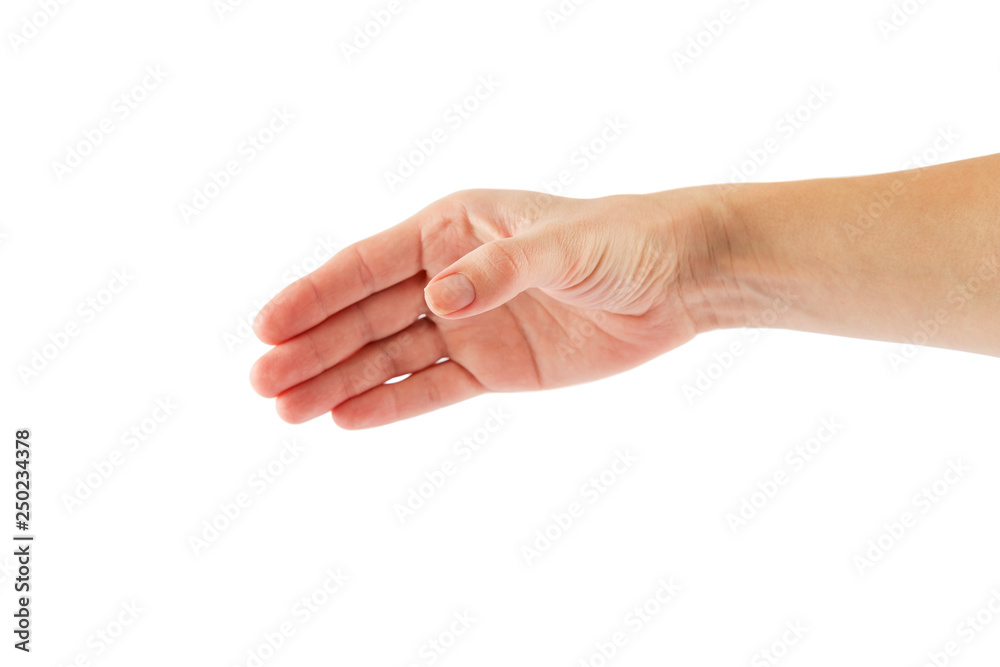 Two hands isolated on a white background Two hands isolated on a white background
