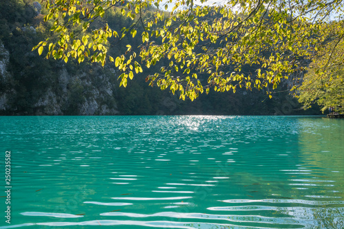 branch with yellow leaves hanging over turquoise water at plitvices lakes in Croatia photo