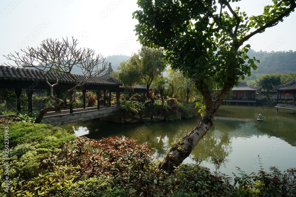bridge in the chinese garden
