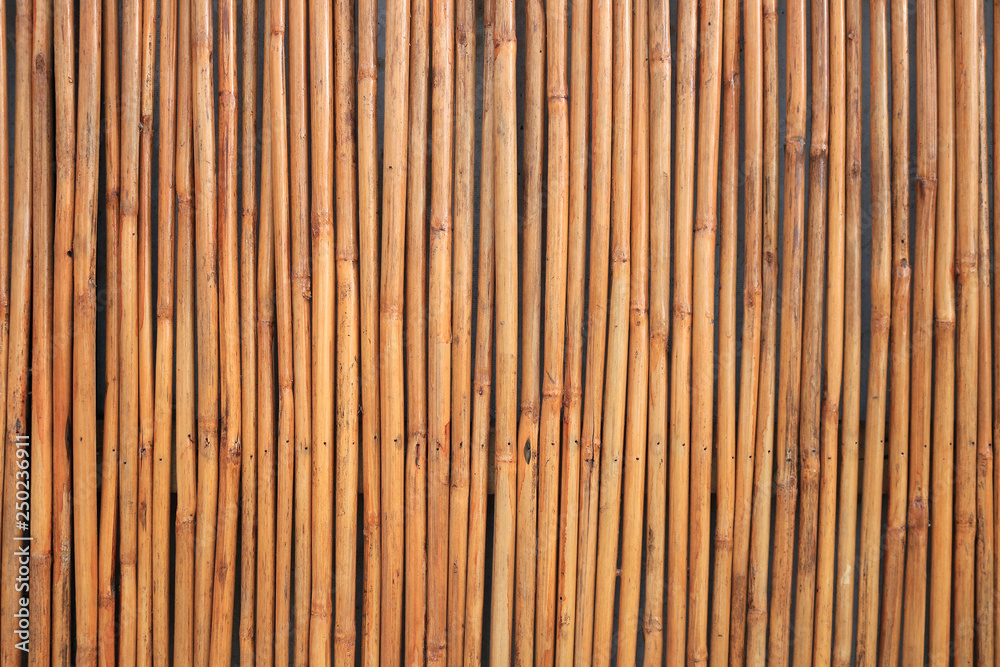 bamboo texture background bamboo texture background