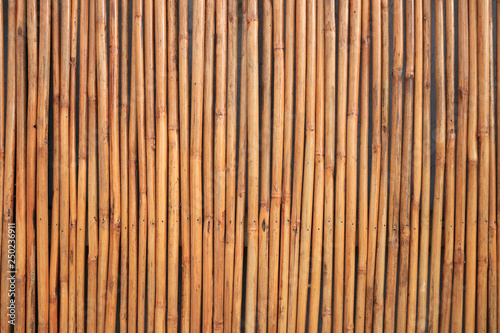Fototapeta Naklejka Na Ścianę i Meble -  bamboo texture background