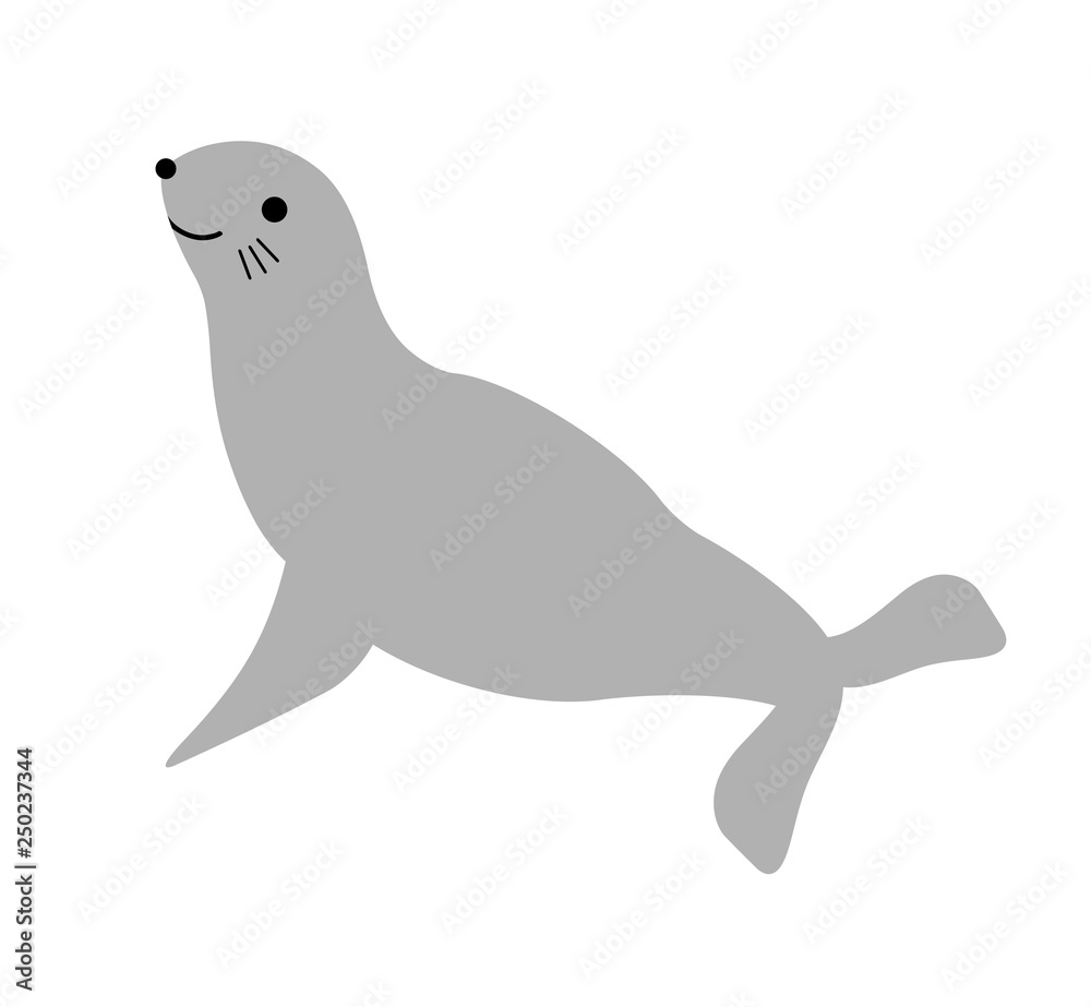 アシカ アシカ