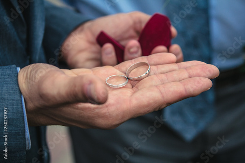 Wedding rings in the hands of the groom