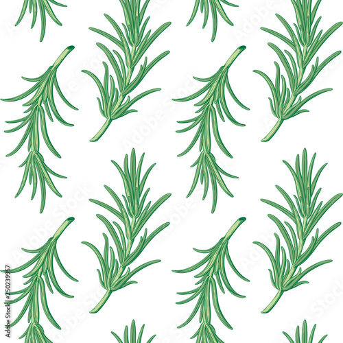 Rosemary pattern