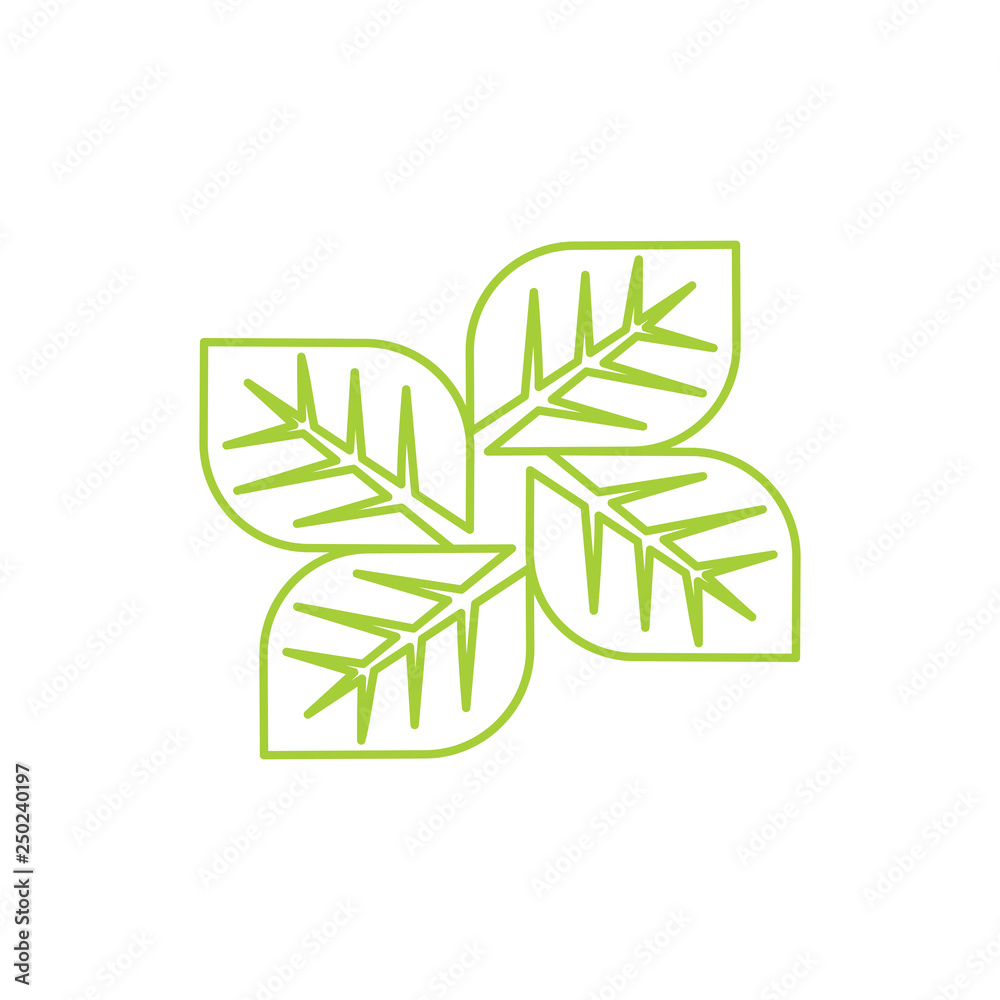 Leaf Logo Design Vector Template Isolated Leaf Logo Design Vector Template Isolated
