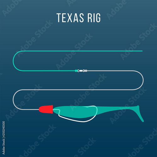 Texas rigged sort plastic bait fishing setup for bass