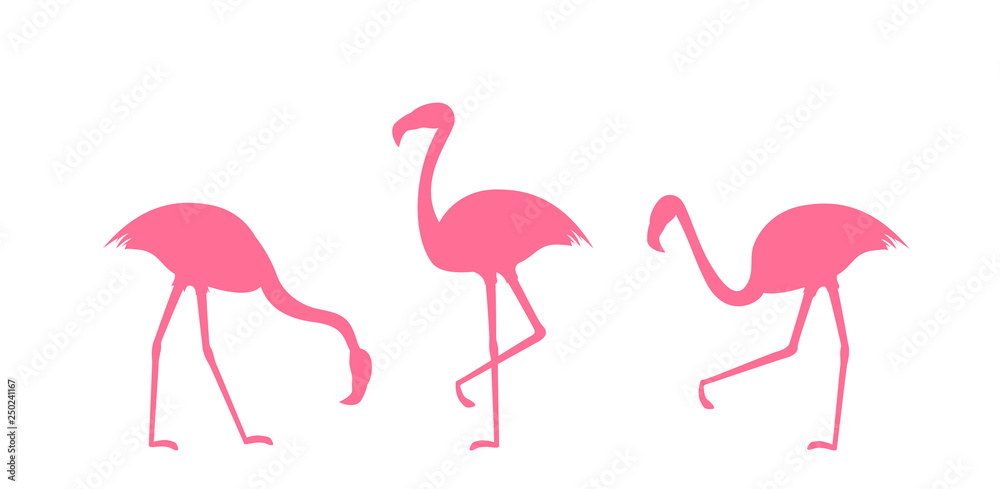 Fototapeta Set of Pink Flamingo Silhouettes