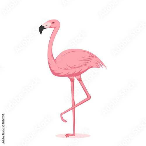 Pink Flamingo