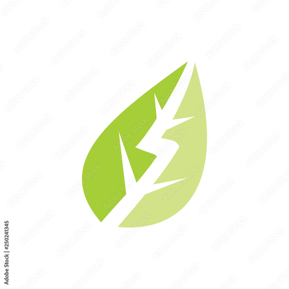 Leaf Logo Design Vector Template Isolated Leaf Logo Design Vector Template Isolated