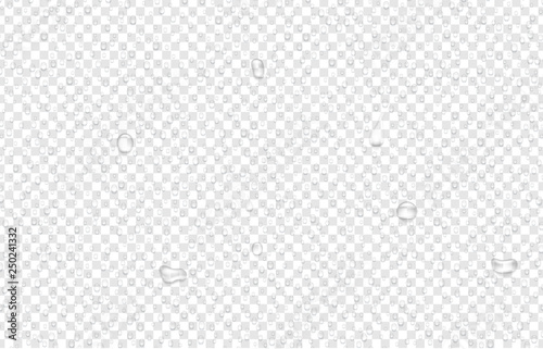 Transparent background with realistic water drops.