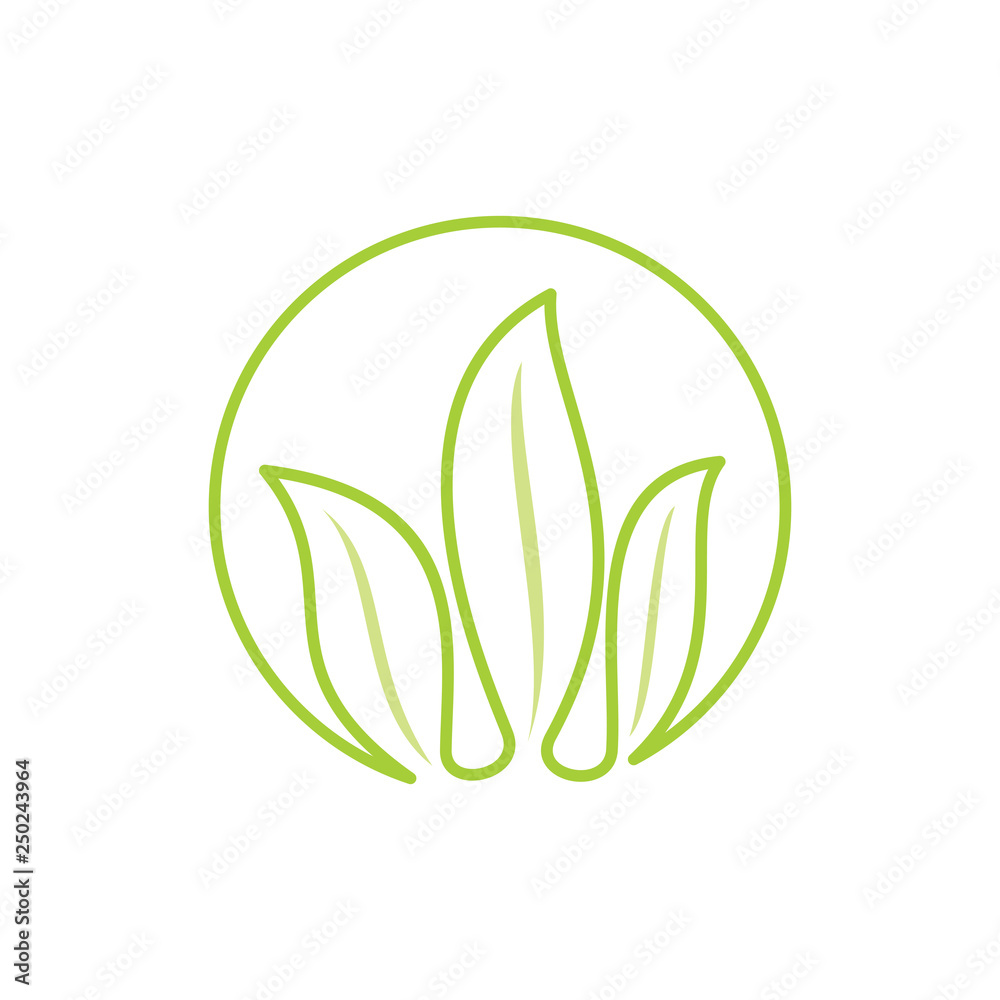 Leaf Logo Design Vector Template Isolated Leaf Logo Design Vector Template Isolated