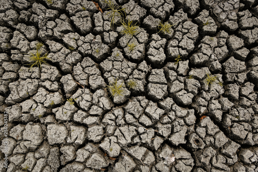 Concept of global warming, hot and dry climate,change climate,land for perennial crops