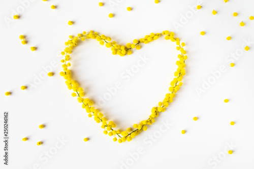 Festa della Donna 8 Marzo, simbolo del cuore fatto con fiori Mimosa giallo su uno sfondo bianco. photo