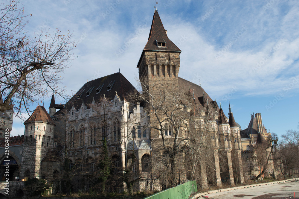 Fototapeta premium Budapest Castle
