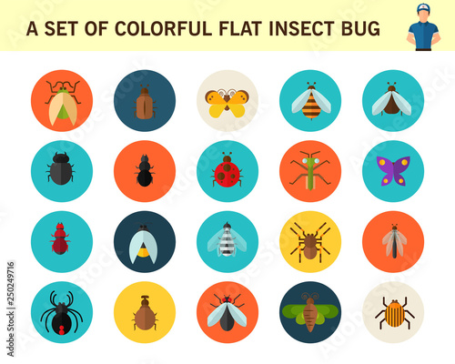 A set of colorful flat insect bug concept flat icons.