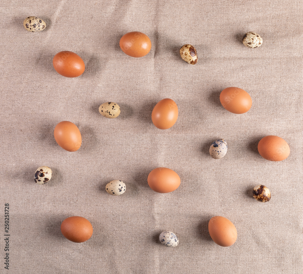 Brown chicken eggs and spotted quail eggs laid out on rustic canvas. 