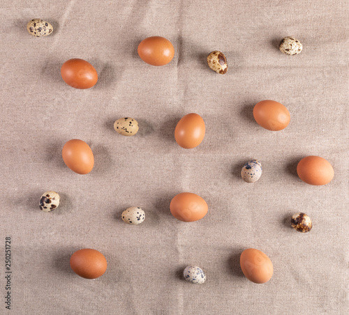 Brown chicken eggs and spotted quail eggs laid out on rustic canvas. 