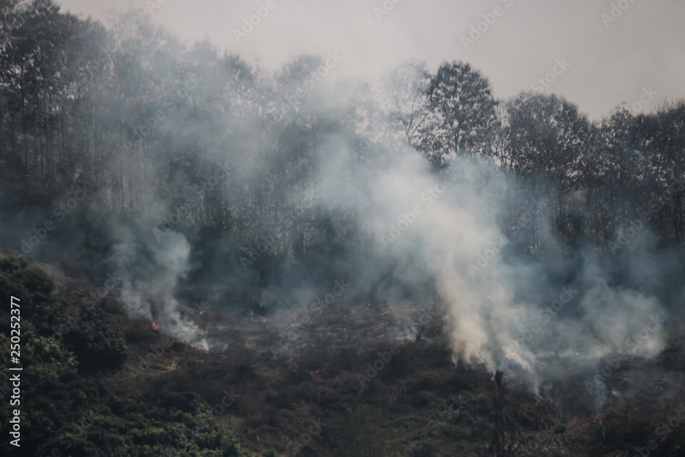 Smoke rising from a grassland wildfire fire next to a forest on a mountain