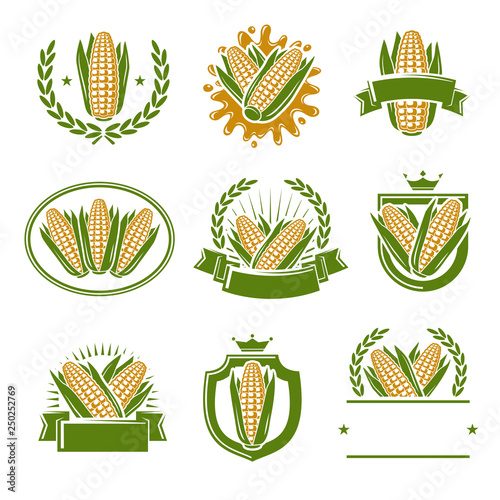 Corn label and element set. Collection icon corn. Vector