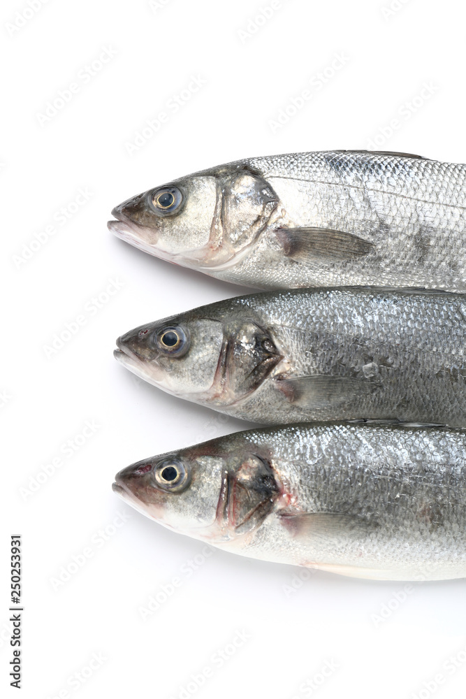 Tasty fresh seabass fish on white background