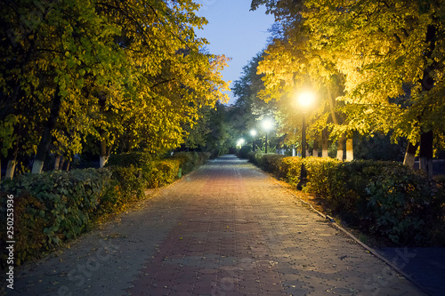 Walk in the night Park 