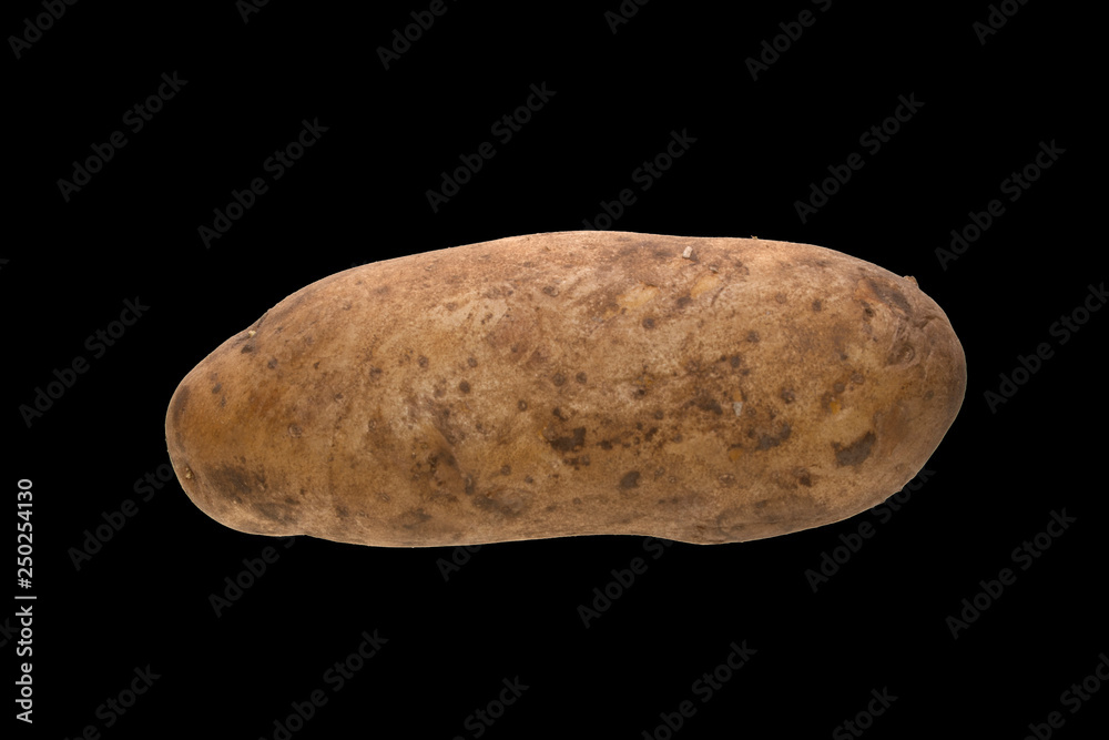 potato isolated on black background potato isolated on black background
