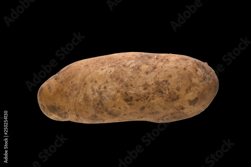 potato isolated on black background