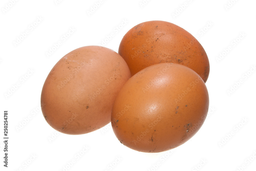 egg isolated on white background egg isolated on white background