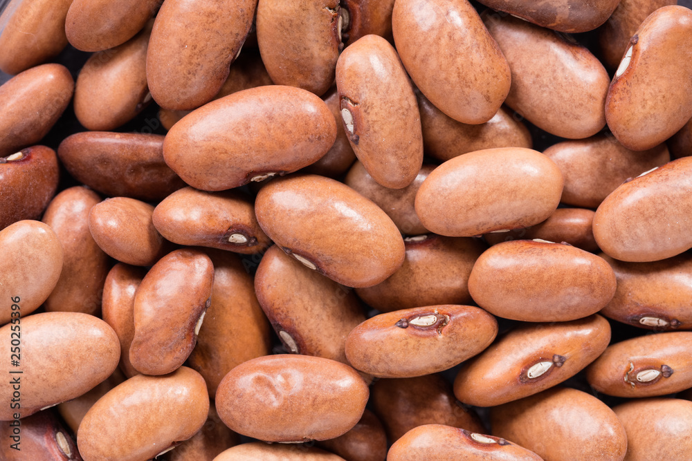 High quality seeds of blauhilde phaseolus, legumes in a texture form for your awesome garden. Can be used by seed producers for create contrast packaging with seed on background. High quality seeds of blauhilde phaseolus, legumes in a texture form for your awesome garden. Can be used by seed producers for create contrast packaging with seed on background.
