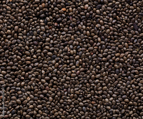 High quality seeds of savory, in a texture form for your unique garden. Can be used by seed producers for create new exquisite packaging with seed on background.