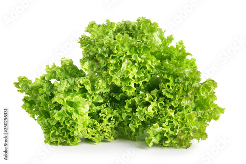 Fresh lettuce salad on white background