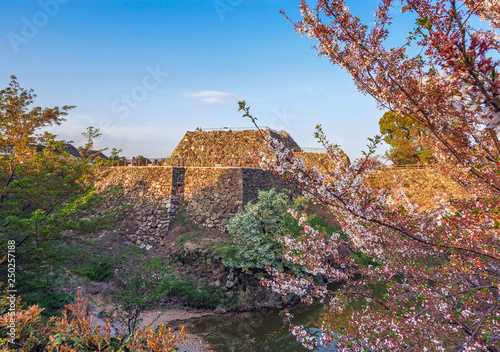 Cuadro en lienzo Ruins of the main keep of Yamato Koriyama castle