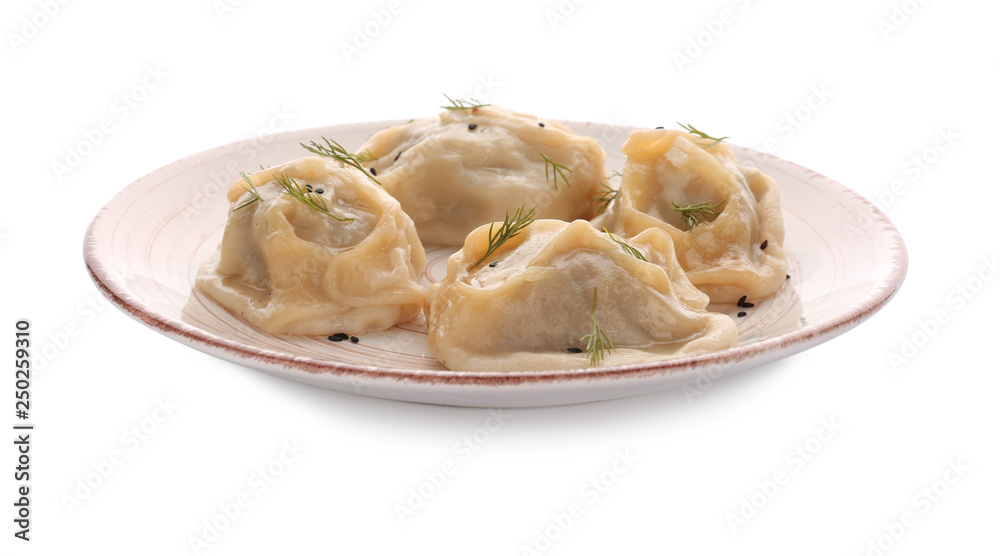 Plate with tasty dumplings on white background Plate with tasty dumplings on white background