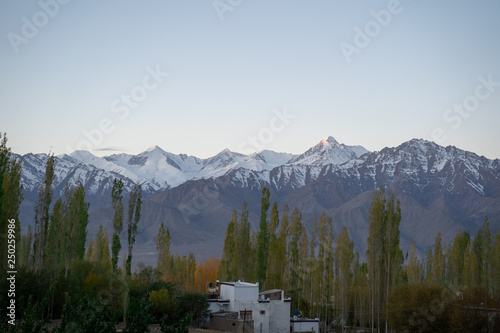 A view of Mountain and pine trees with snow on top at night time in Leh, Ladakh, India.A view of Mountain and pine trees with snow on top at day time in Leh, Ladakh, India.