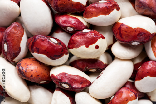 High quality seeds of red cap beans, legumes in a texture form for your beautiful garden. Can be used by seed producers for create elegant packaging with seed on background. photo