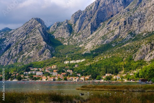 Donj Orahovac, Bay of Kotor, Province of Kotor, Montenegro, Europe photo